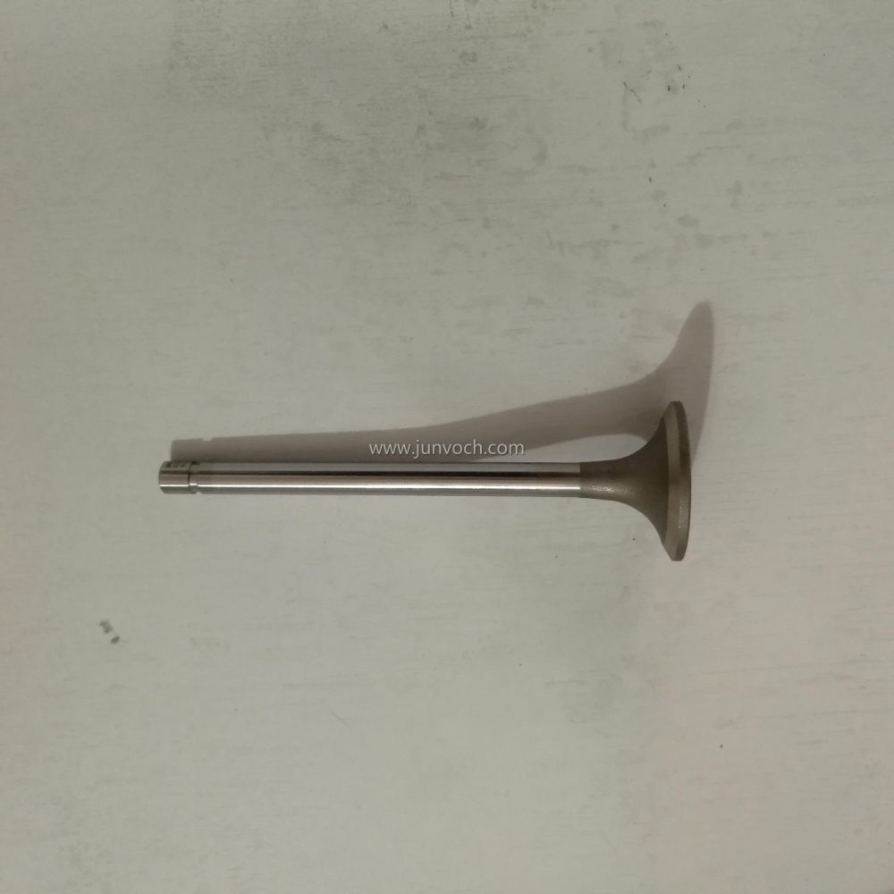 Exhaust Valve for Kta19 3088389