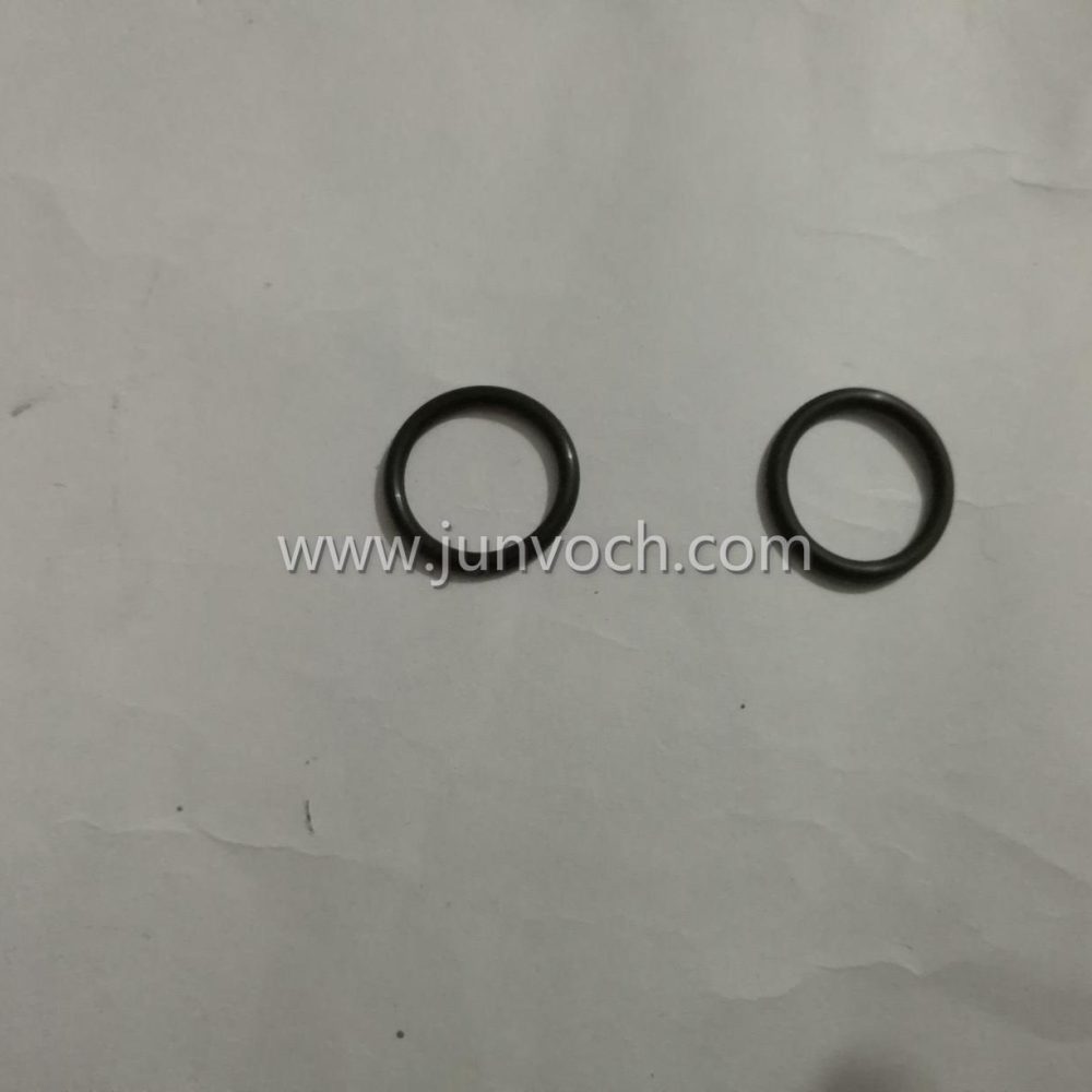 O Ring Seal for K19 M11 3040817