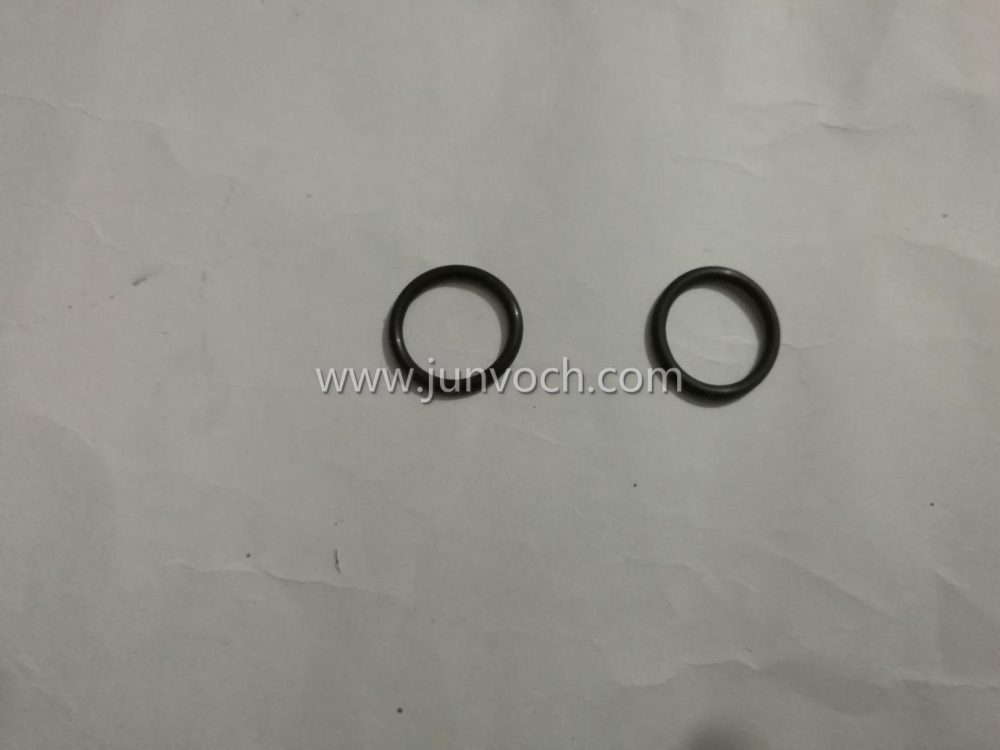 O Ring Seal for K19 M11 3040817